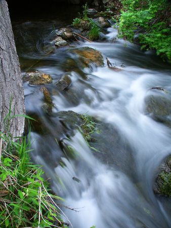 Bluff Creek State Natural Area - Wisconsinの写真素材