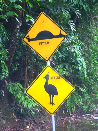 Cassowary sign in the Daintree Rainforest of Queensland, Australiaの写真素材