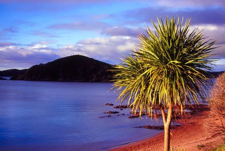 Bay of Islands in northern New Zealandの写真素材