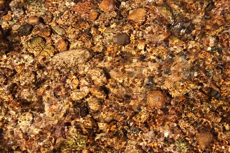 Calm creek riffle in northern Illinois