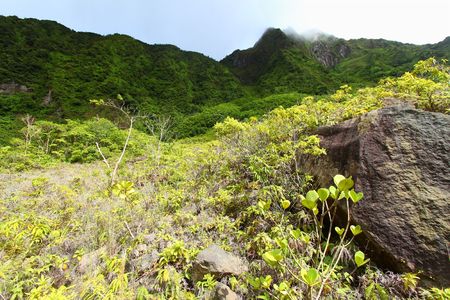 Mount Liamuiga from the bottom of The Crater of Saint Kitts