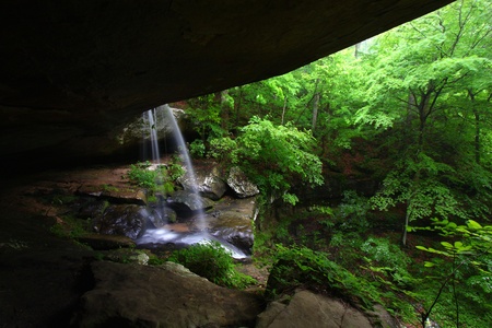 Waterfall flows into a deep canyon in the woodland of northern Alabamaの写真素材