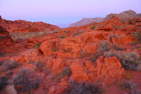 Blazing red rock formations at Valley of Fire State Park in Nevadaの写真素材