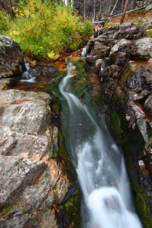 Small creek cascade in the Lewis and Clark National Forest of Montanaの写真素材