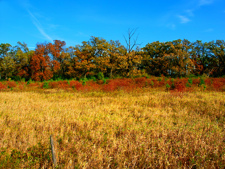 Rural Wisconsin Landscapeの写真素材