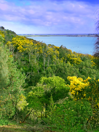 Tower Hill State Game Reserve in Victoria Australiaの写真素材