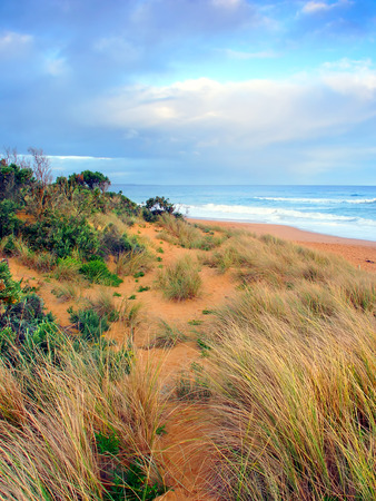 Pacific coastline of Warrnambool Australiaの写真素材