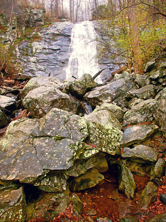 Lower Whiteoak Falls on a foggy spring day in Shenandoah National Parkの写真素材
