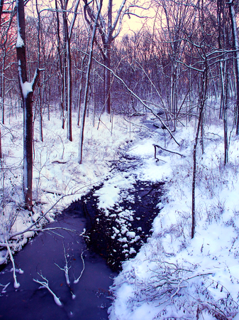 Winter Landscape at Allerton Park in Central Illinoisの写真素材