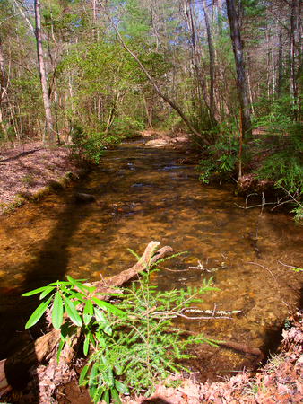 Shallow stream running along the Appalachian Trail in Georgiaの写真素材