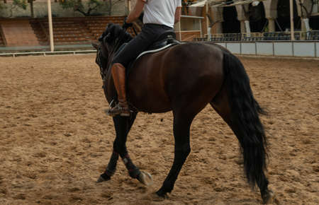 A person riding a horse in a farmyard in Corboda, Andalusia, Spain