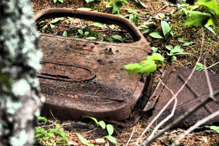 A broken rusted old car parts in the forest