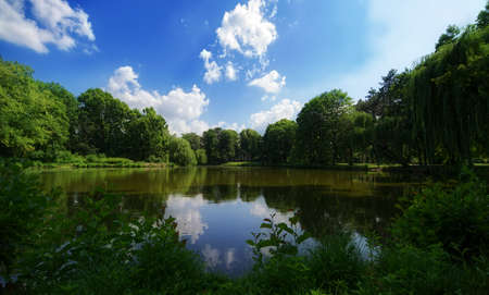 A beautiful scene of the lake reflecting the forest and some fluffy clouds in the sky