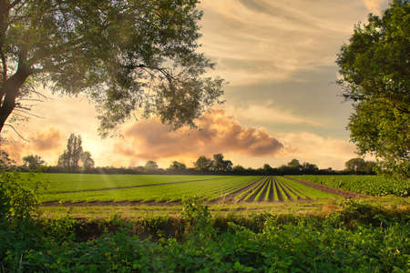 A beautiful shot of a green field under cloudy sky and sunlightの写真素材