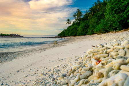 A beautiful scenery of a peaceful coral beach by the sea surrounded by greenery under a cloudy sky