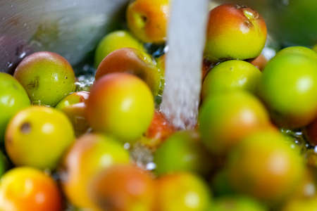 A close up shot of the umeshu Japanese plum wine making process with regular and brown sugar cubesの写真素材