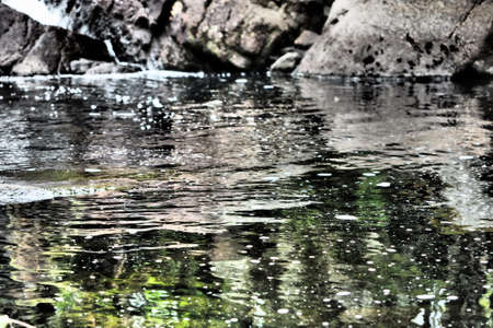 A closeup shot of calm water surrounded by rocks in the forest