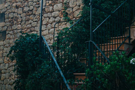 An outdoor staircase with green plantsの写真素材