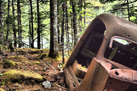 A broken rusted old car parts in the forestの写真素材