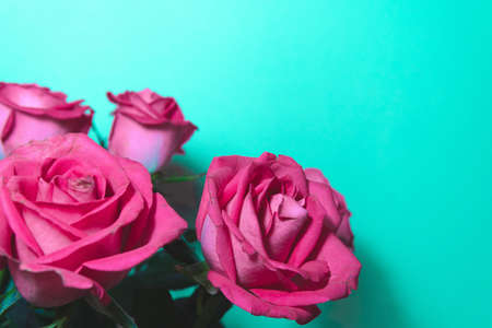 A closeup shot of a floral arrangement with pink roses on a green background with copy spaceの写真素材