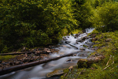 A river with long exposure surrounded by rocks and greenery in a forest at daytime