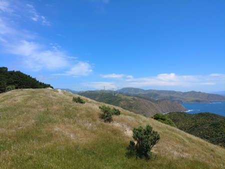 A scenic view of Makara Walkway with windmills and beach on a sunny clear day
