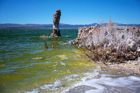 A closeup of tufa at Mono Lake in Californiaの写真素材