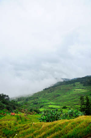 An aerial shot of the Mount Gede in West Java, Indonesiaの写真素材
