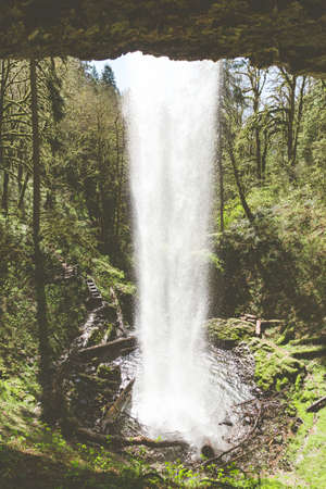 A vertical shot of a waterfall in the forest