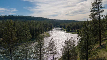 An aerial shot of a big river flowing through a beautiful dense forest