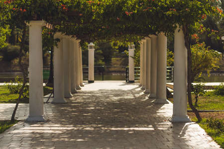 A pathway with white columns on the edges in the beautiful floral gardenの写真素材