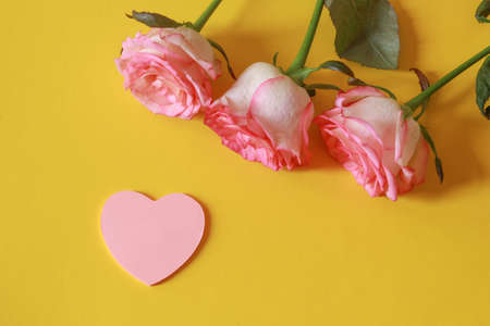 Pink Heart with roses on a yellow background with space for text - Valentine's Dayの写真素材