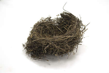 A bird nest made of dry grass and twigs for blackbirds isolated on a white background