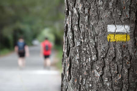 A closeup shot of a white and yellow route signage on tree barkの写真素材