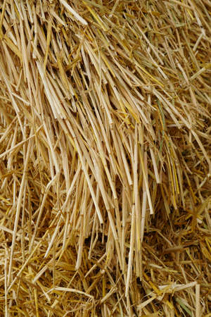 A vertical shot of hay bale perfect for background