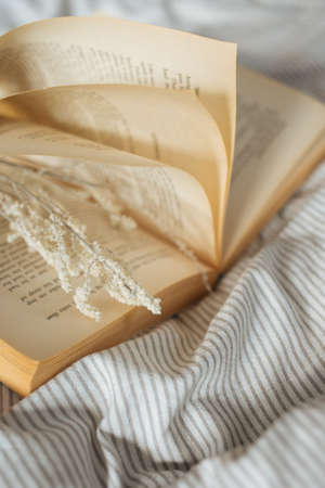 A close up shot of a vintage book on bed sheets under the morning sunshineの写真素材