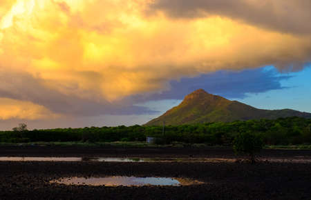 A beautiful shot of a grassy field with trees and mountain in the distanceの写真素材