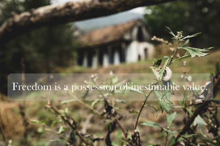 Inspirational quote - Freedom is a possession of inestimable value.
