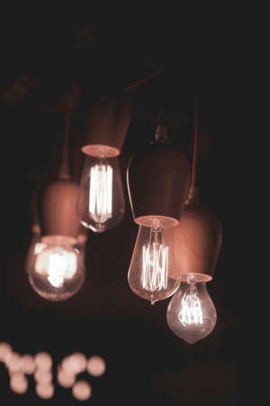 Decorative wooden bulbs for interior design.の写真素材