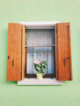 A window on a colorful light green wall with a flower in a pot on the windowsill