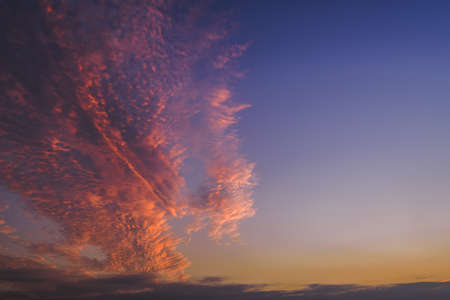 A beautiful shot of a pink and purple clouds in the sky on clear blue background