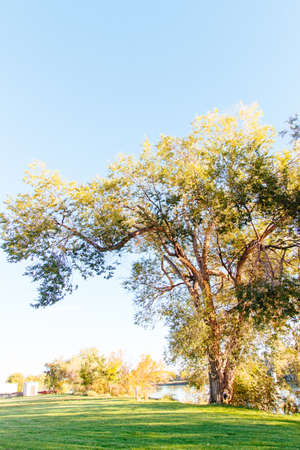 The beautiful scenery of a forest