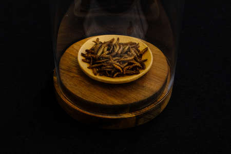 A closeup of cooked insects on a wooden saucer in a glass with black background