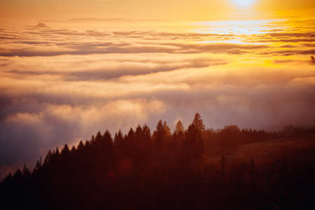 A beautiful aerial shot of a forest on a hill with beautiful mist in the distance shot at sunriseの写真素材