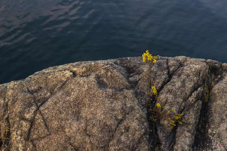 A high angle shot of a rocky cliff near the sea