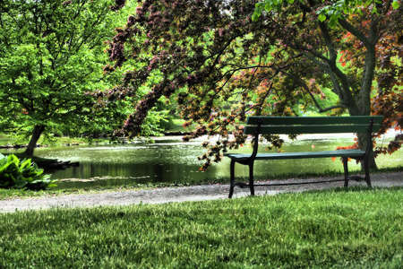 A Wide-angle shot of a lake in the park with bench and treesの写真素材