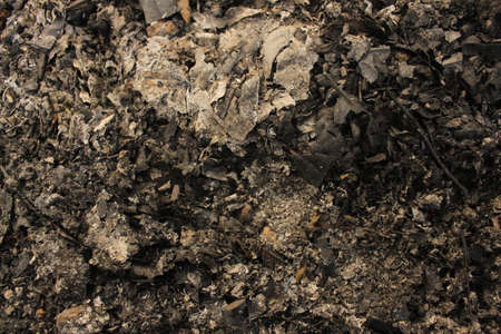 A high angle closeup shot of soil surface under the sunlight