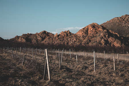 Agricultural field surrounded by mountainsの写真素材