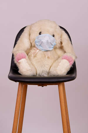 A stuffed fluffy toy bunny with a facemask on a chair isolated on a pink backgroundの写真素材