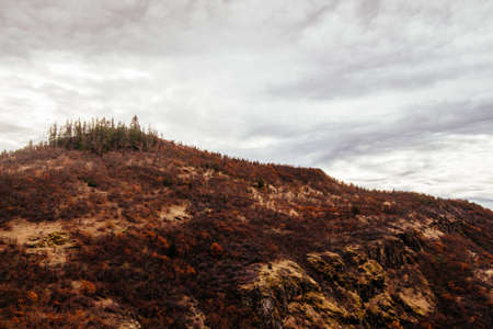 A beautiful shot of steep hill with dried greenery and trees on the top with amazing grey clouds in...